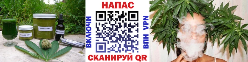 Купить где  Кизел  Cannafood конопля 