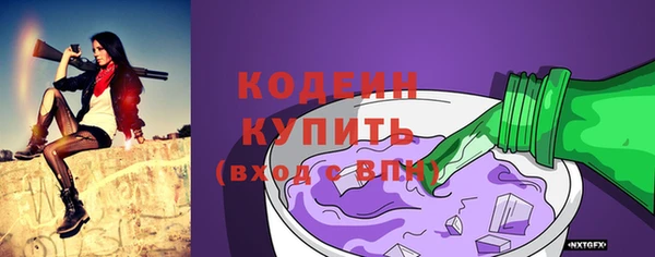 стаф Бородино