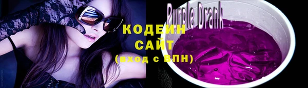 стаф Бородино