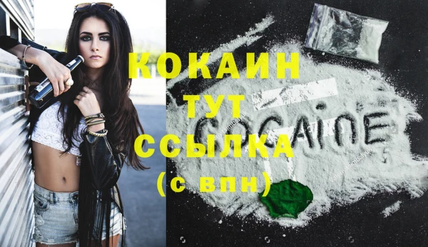 стаф Бородино