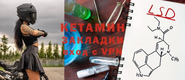 стаф Бородино