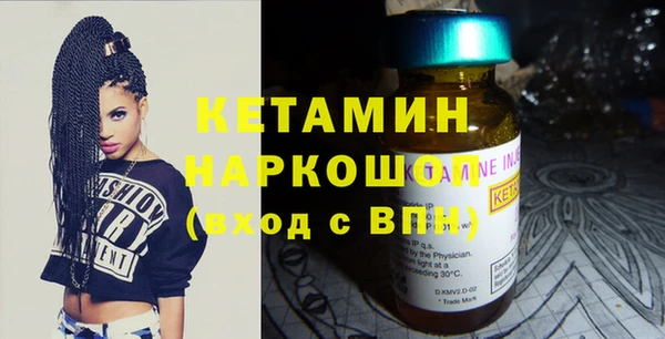 стаф Бородино