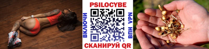 Купить где  Кизел  Галлюциногенные грибы прущие грибы 