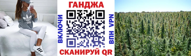 Купить где  Кизел  Бошки Шишки индика 